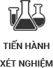 Tiến hành xét nghiệm