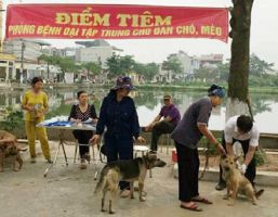 Chung Tay Phòng, Chống Bệnh Dại